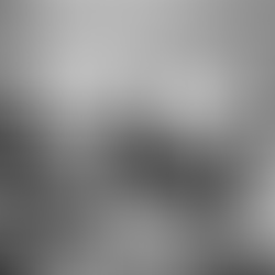 Le sultan Moulay Youssef et Hubert Lyautey