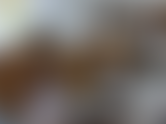 Intéressé(e) à recevoir gratuitement un chien Jack Russell contre de très bons soins ?