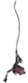93