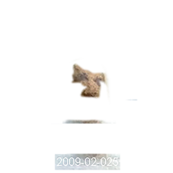 2009-02-025