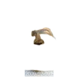 2009-02-092