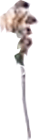 98