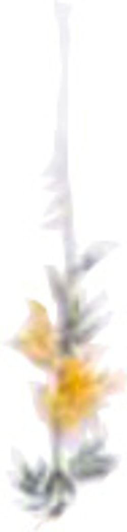 71