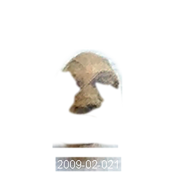 2009-02-021