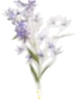 74