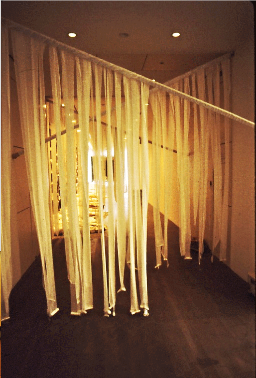 Bandage Gate (Womb)