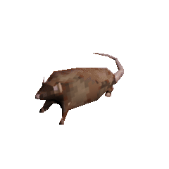 test_gif.gif