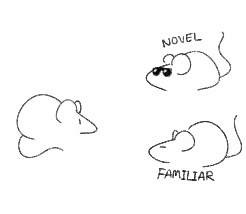 mouse_novPref.gif