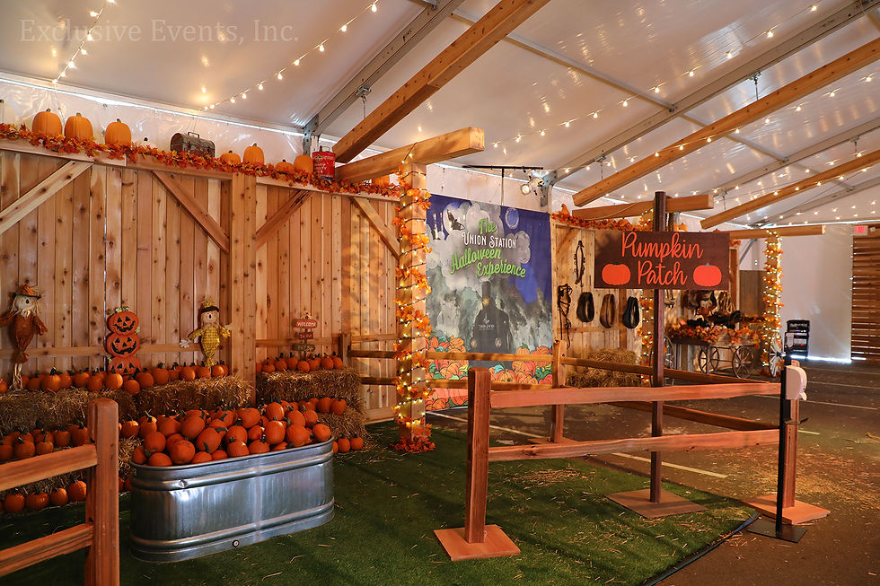 Thumbnail: Pumpkin Patch