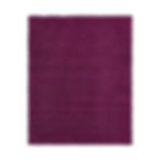 Eggplant Shag Rug