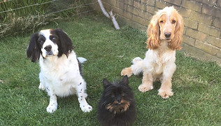 received_245185489948271 (1).jpeg