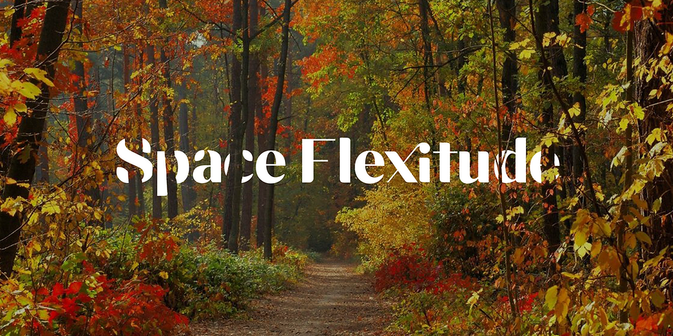 WebsiteBanner_03.png