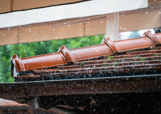 A roof will keep you warm, but a clean roof boosts home value as well.