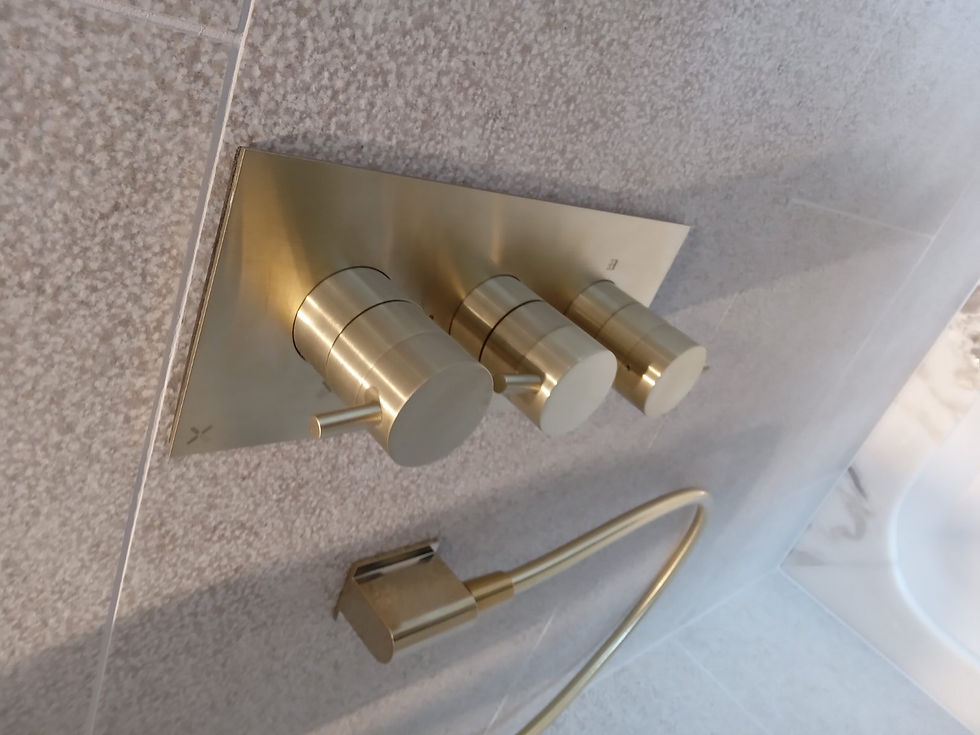 Clean and polish all bathroom fixtures and faucets
