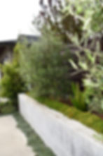 Olive_planter