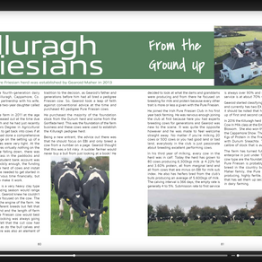IHFA Spring Journal 2021 featuring multiple Pure Friesian Herds
