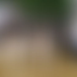 Club Social - with pictures!