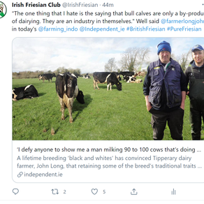 Class is permanent. Roadmill Herd going strong since 1980.