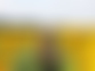 Been there. Snapped that.