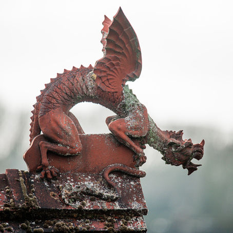 Dragons Return to the Rooftops