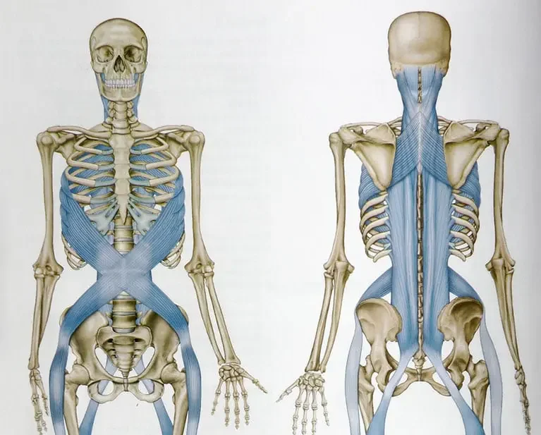 Techniques & Treatment