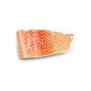 food_salmon.png