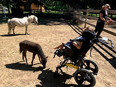 IMG_6378.jpeg