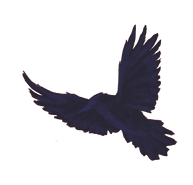 Raven R.png