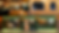montagem_baixa.png