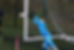 IMG_9681.jpeg