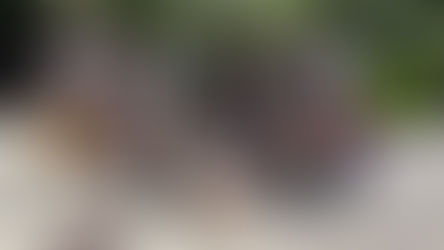 Explorando la innovación en Barcelona