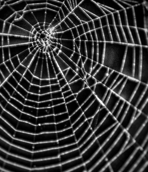 webdesign fotonweb