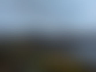 A Remedy for the Future by Diane Duckworth