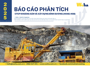 Trong bức tranh đó, CTCP Khoáng sản & Xây dựng Bình Dương (HOSE: KSB) là cái tên đáng chú ý.