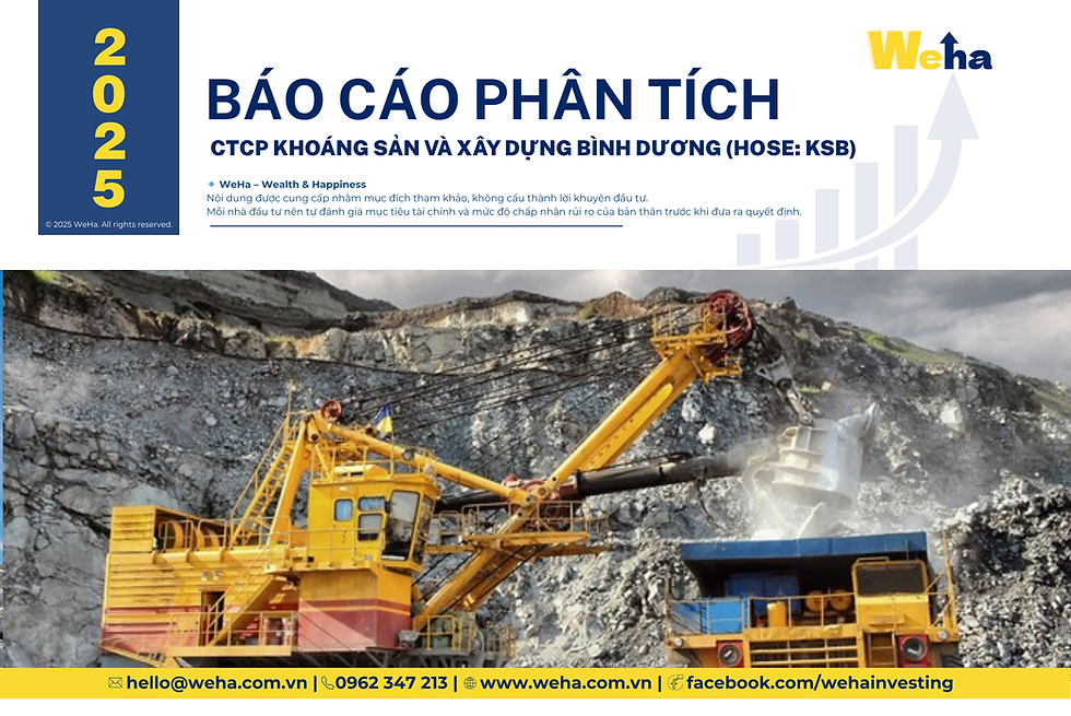 Báo cáo phân tích CTCP Khoáng sản & Xây dựng Bình Dương (HOSE: KSB)