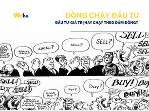 Thị trường giảm, bạn đang đầu tư dựa trên giá trị hay chỉ chạy theo đám đông? Kỷ luật và kiên nhẫn mới là chìa khóa để tạo ra thịnh vượng bền vững.