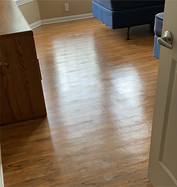 image-123.png