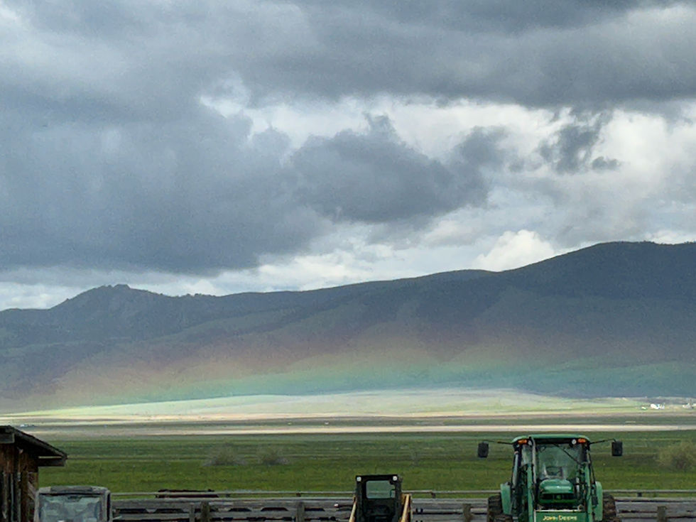 White Sulphur Springs Rainbow