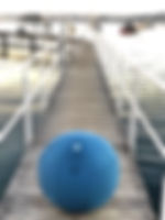 blue_long jetty portrait_Fotor.jpg