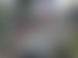 Bring Back the Walkway: Residents Want Trail Fixed