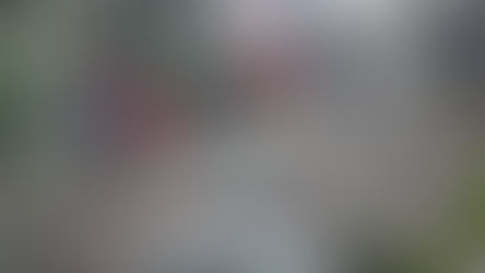 Bring Back the Walkway: Residents Want Trail Fixed