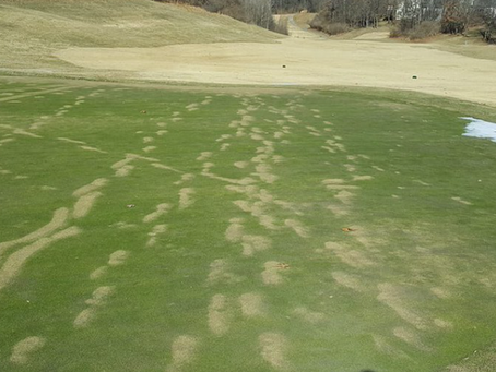 Keeping Shannon Lake Golf Course Safe and Beautiful All Year Round