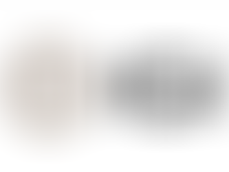 International Gemmological Institute IPO