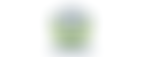 SolarWorld Energy Solutions IPO