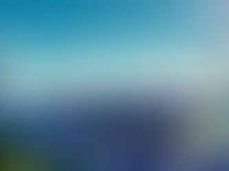 ACME Solar Holdings Limited: IPO Overview