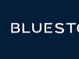 BlueStone Jewellery and Lifestyle IPO