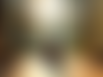 Mexico Wellness Retreats on the Pacific Coast: A Transformative Escape for Mind, Body, and Nervous System