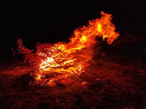 Wenn das Feuerpferd unter der Haut brennt — Die Energie, die uns gerade bewegt