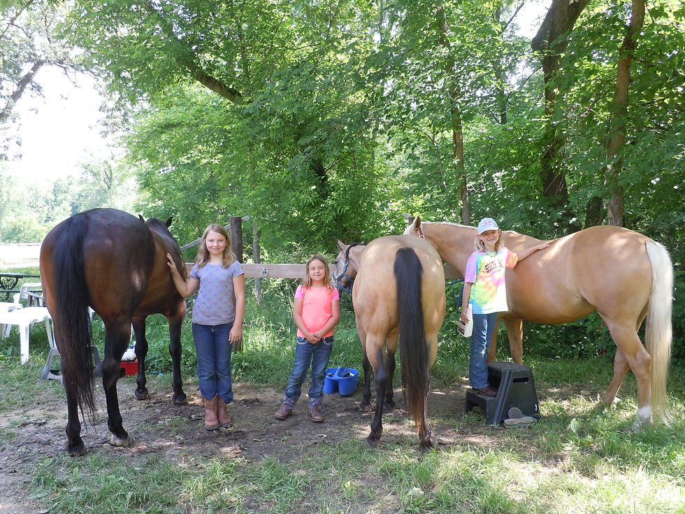 Horse camp friends.