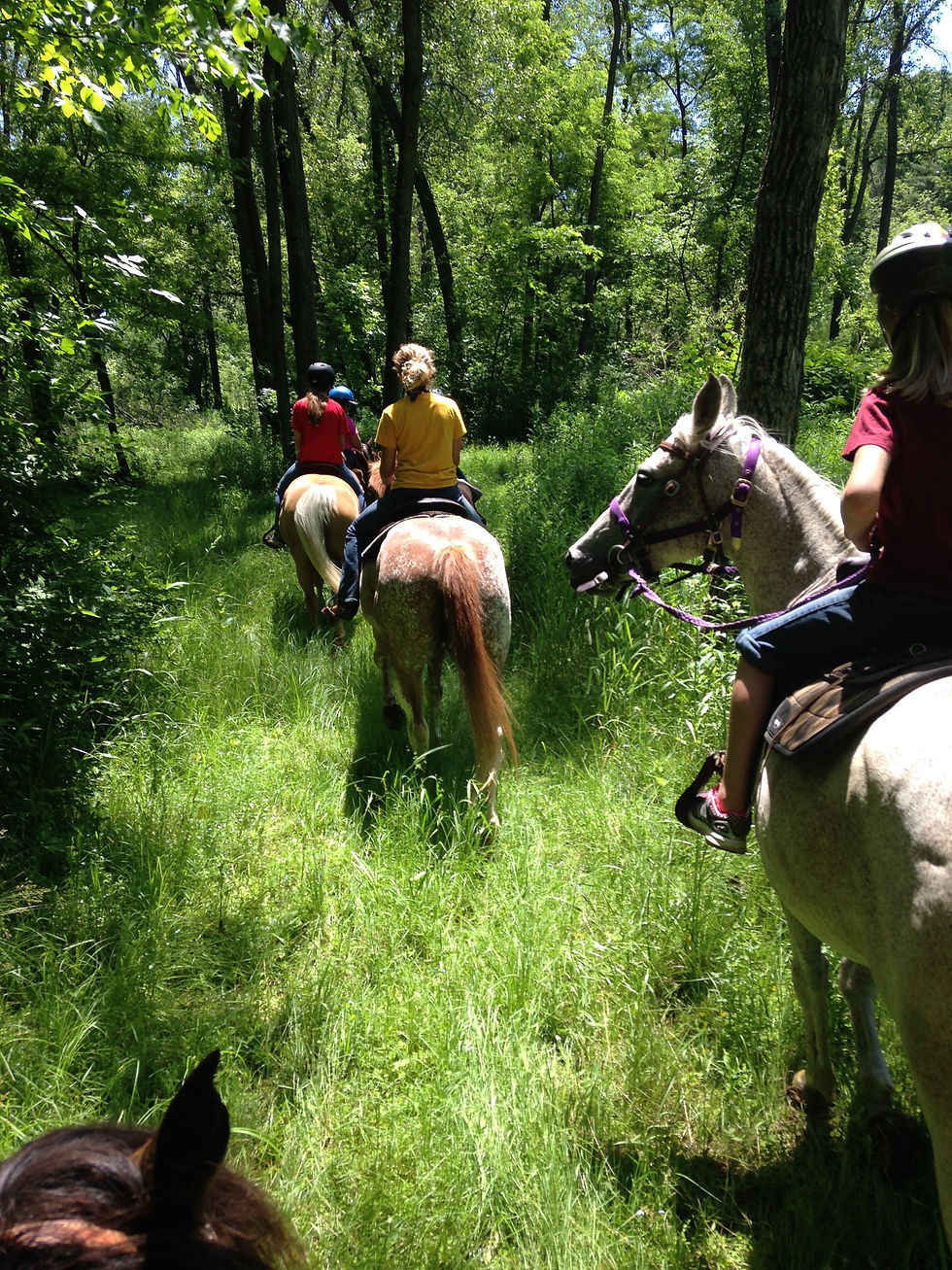 Trail ride with friends